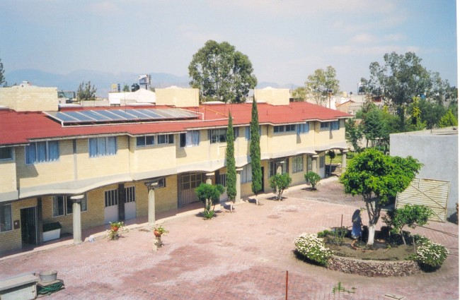 Monastero di Ecatapec. Messico, Arbol